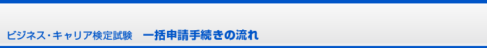 �r�W�l�X�E�L�����A���莎�� �ꊇ�\���葱���̗���