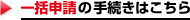 �ꊇ�\���̎葱���͂�����