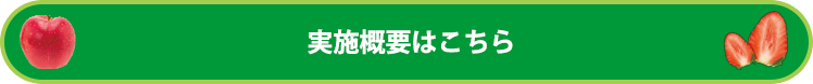 実施概要はこちら