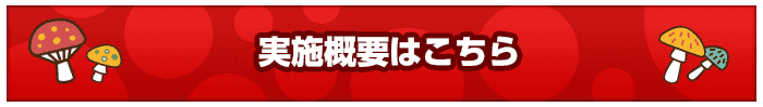 実施概要はこちら