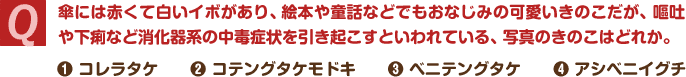 Q. 傘には赤くて白いイボがあり、絵本や童話などでもおなじみの可愛いきのこだが、嘔吐や下痢など消化器系の中毒症状を引き起こすといわれている、写真のきのこはどれか。