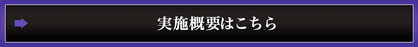 実施概要はこちら