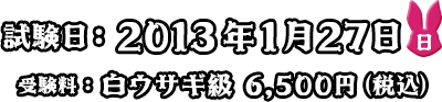 F2013N127ij󌱗FETM 6,500~iōj
