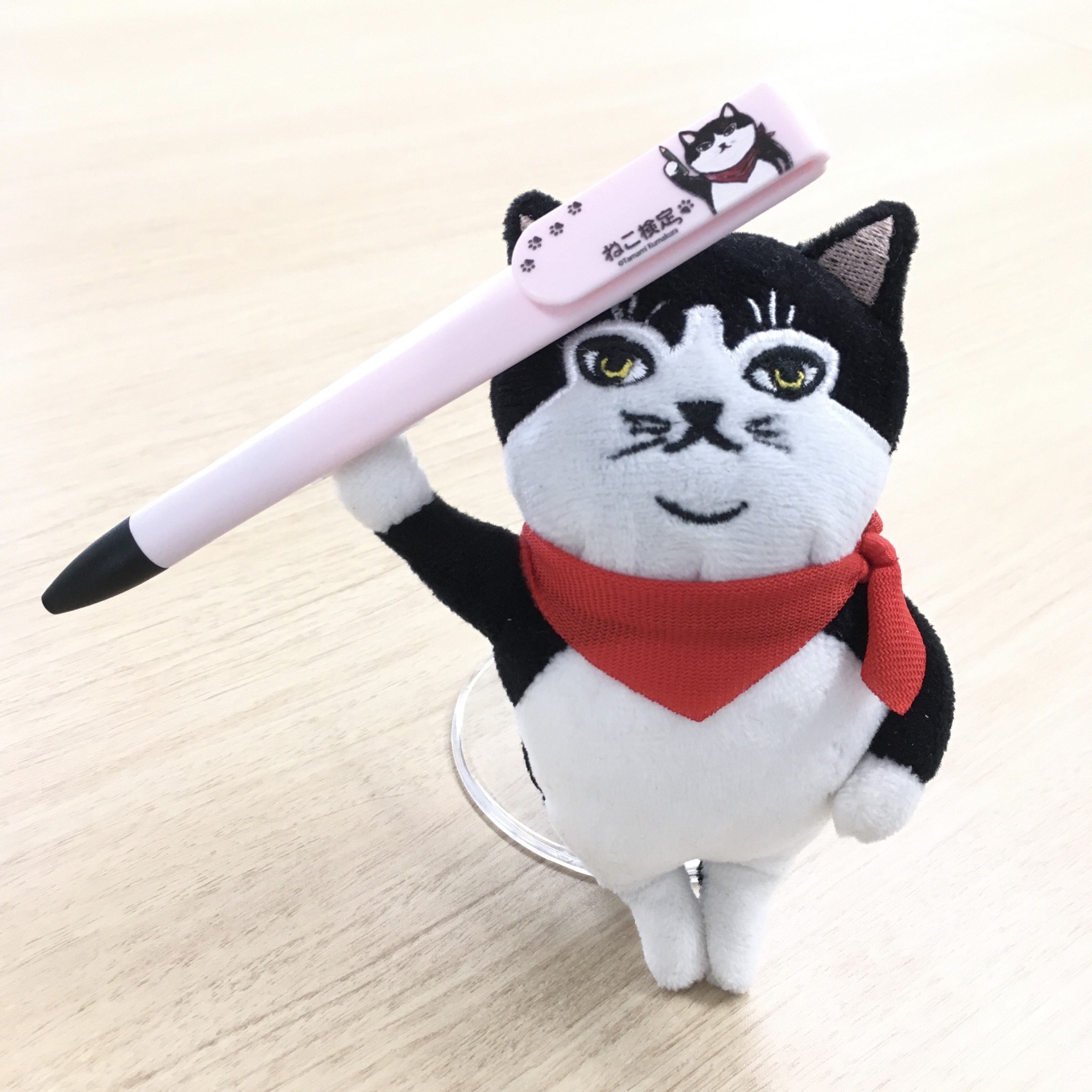 実施概要 お申し込み ねこ検定 日販の検定ポータル 検定 受け付けてます