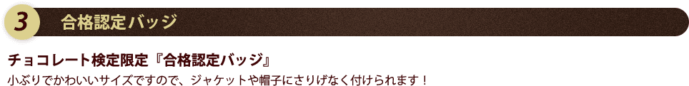 合格認定バッジ