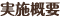 実施概要