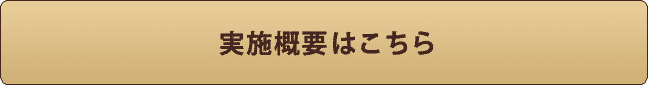 実施概要はこちら