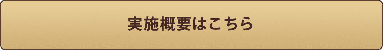 実施概要はこちら