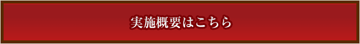 実施概要はこちら