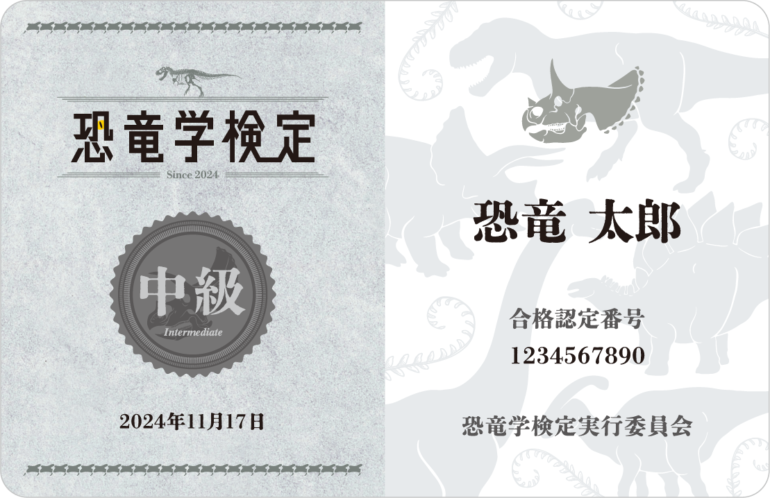 中級合格認定カード