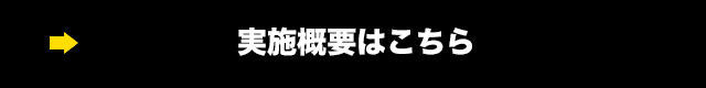 実施概要こちら