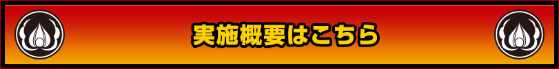 実施概要はこちら