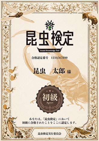 初級合格認定証