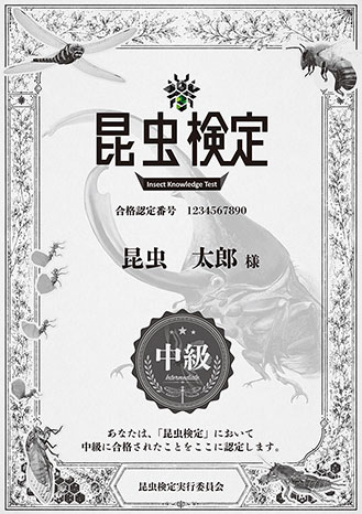 中級合格認定証