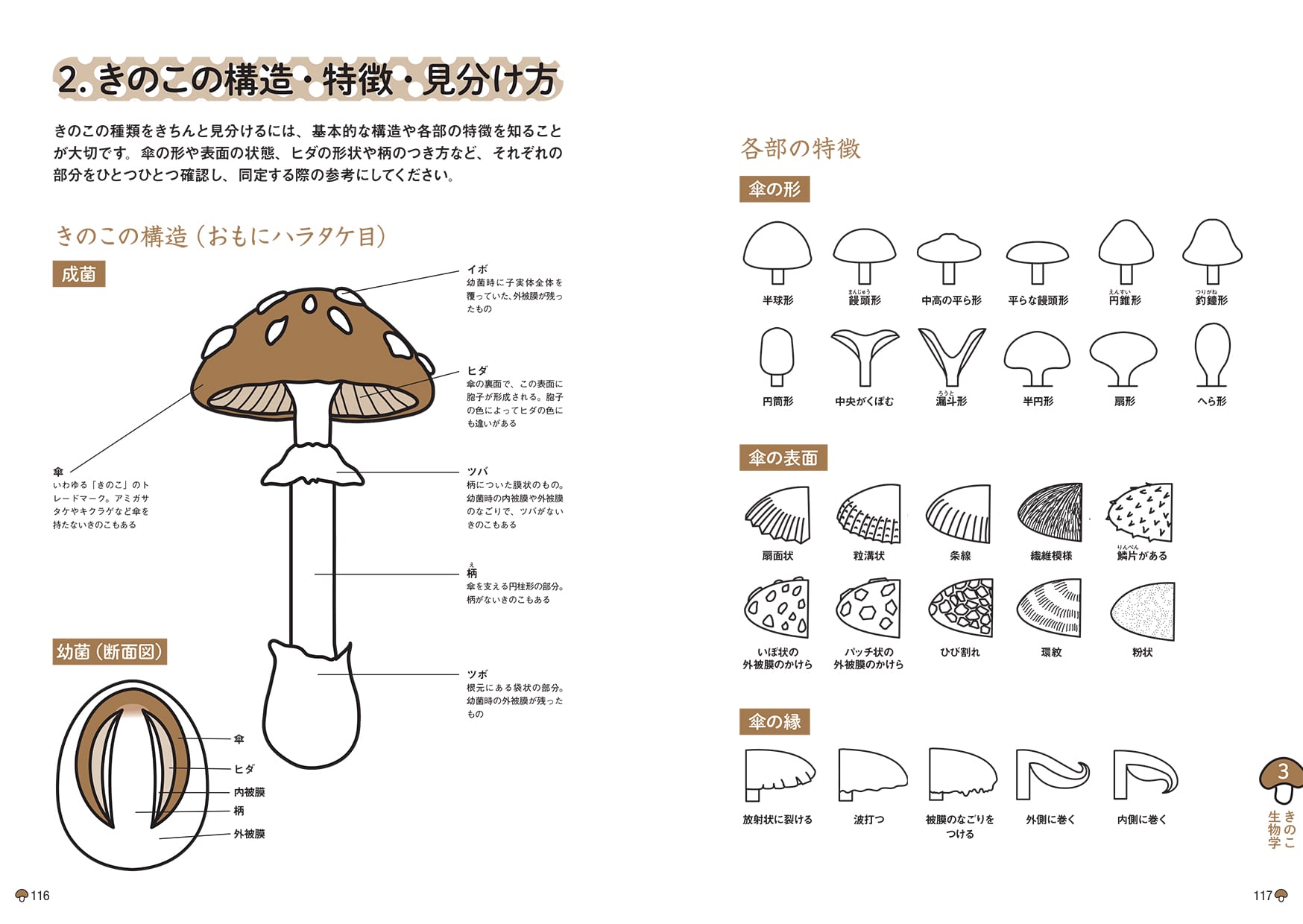 公式テキスト きのこ検定 公式サイト