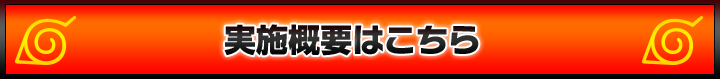 実施概要・お申し込みはこちら