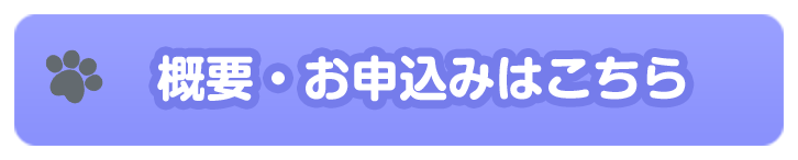 概要・お申込みはこちら