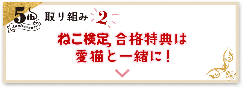 ねこ検定合格特典は愛猫と一緒に！