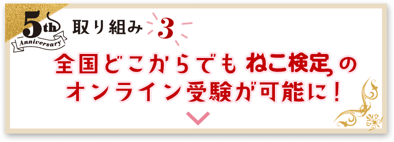 全国どこからでもねこ検定のオンライン受験が可能に！