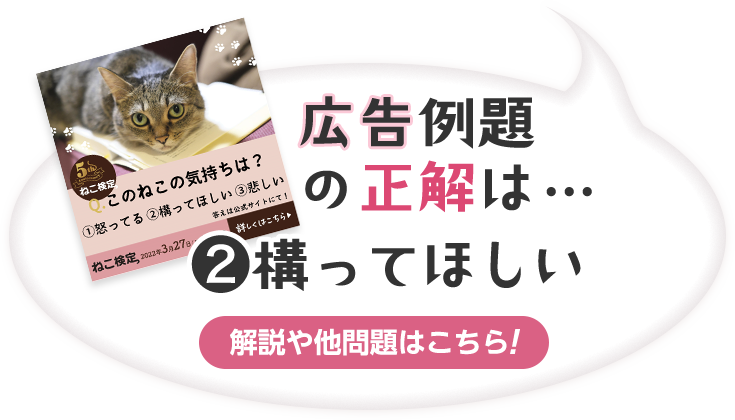 広告例題の正解は…2の構ってほしい