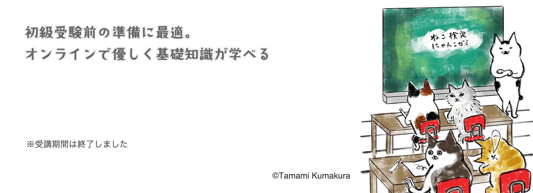 初級受験前の準備に最適。オンラインで優しく基礎知識が学べる