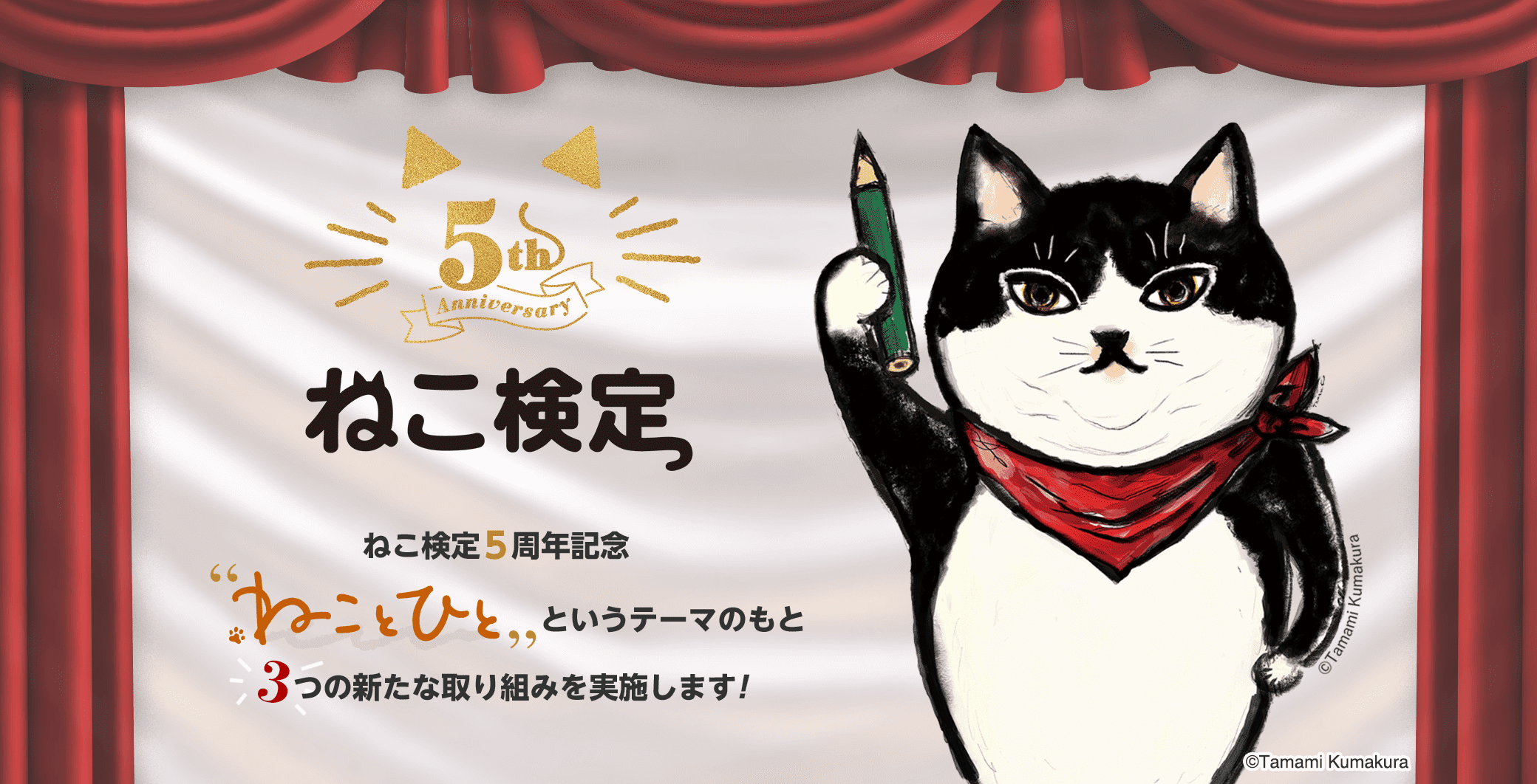 ねこ検定5周年記念「ねこと人」というテーマのもと3つの新たな取り組みを実施します！