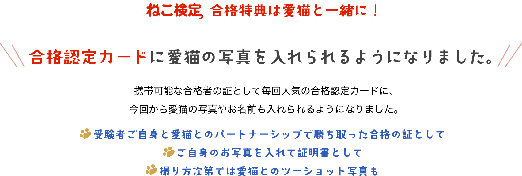 ねこ検定 合格特典は愛猫と一緒に！合格認定カードに愛猫の写真を入れられるようになりました。