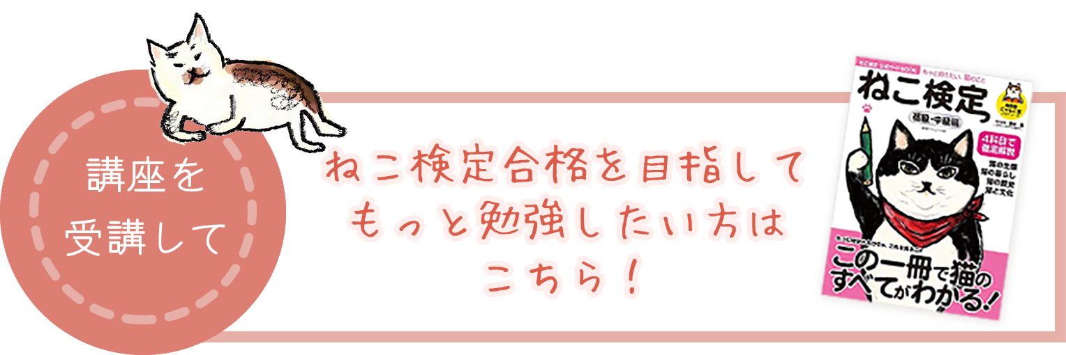 にゃんこゼミ ねこ検定 公式サイト