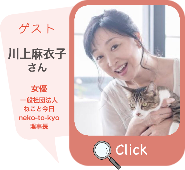 にゃんこゼミ ねこ検定 公式サイト にゃんこゼミ ねこ検定 公式サイト