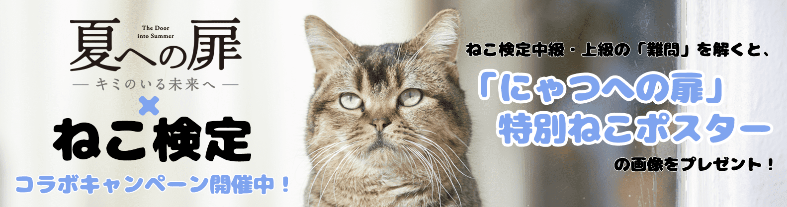 ねこ検定 公式サイト