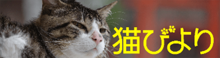 猫びよりプラス