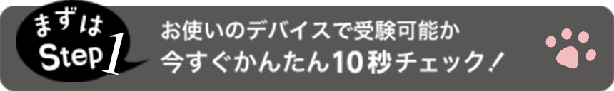 お使いのデバイスで受験可能か今すぐかんたんチェック！