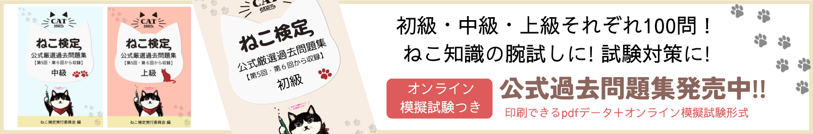 公式過去問題集発売中！