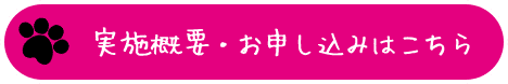 実施概要・お申し込みはこちら
