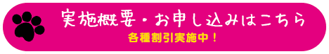 実施概要・お申し込みはこちら