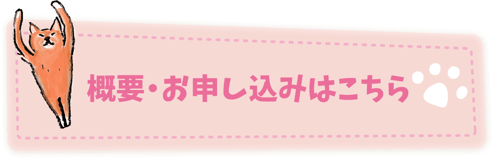 にゃんこゼミ ねこ検定 公式サイト にゃんこゼミ ねこ検定 公式サイト
