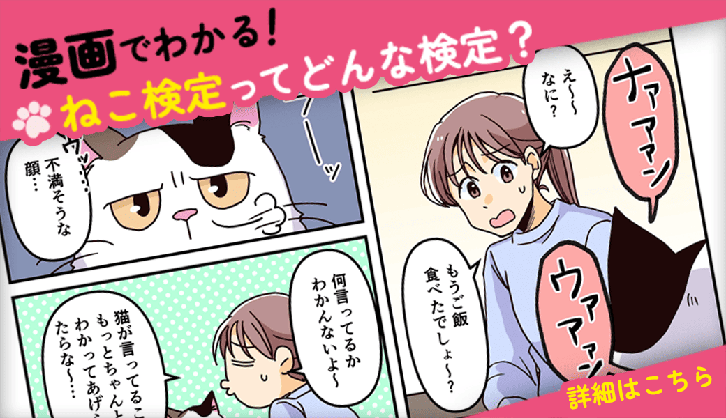 漫画でわかる！ねこ検定ってどんな検定？