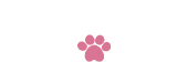 申込受付はこちら