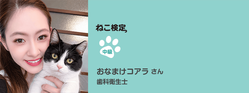 中級 おなまけコアラさん 歯科衛生士