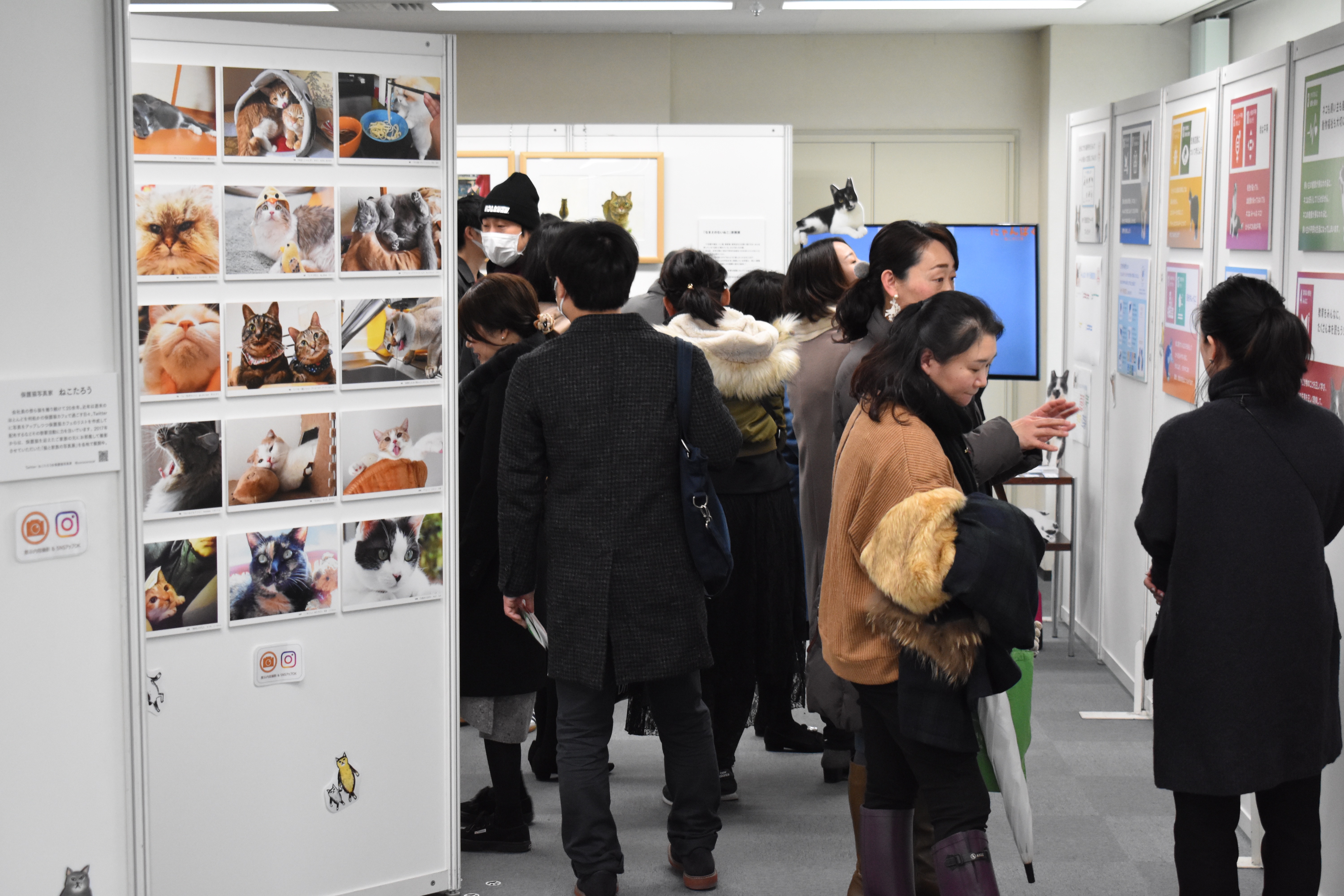 にゃん　他の方はご購入頂けません 全国＆海外代表のにゃんずによる頂上決戦がついに決着！上位入賞にゃん