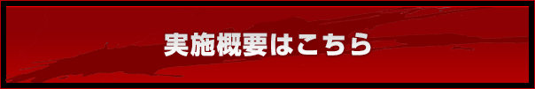 実施概要はこちら