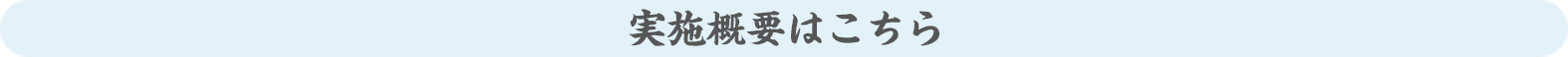 実施概要はこちら