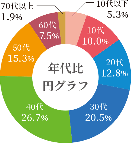 年代比 円グラフ