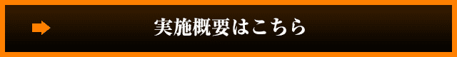 実施概要はこちら