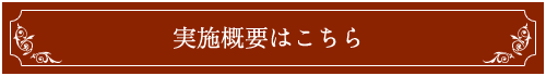 実施概要はこちら