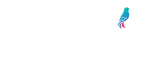 鳥検定