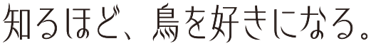 知るほど、鳥を好きになる