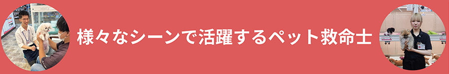 さまざまなシーンで活躍するペット救命士